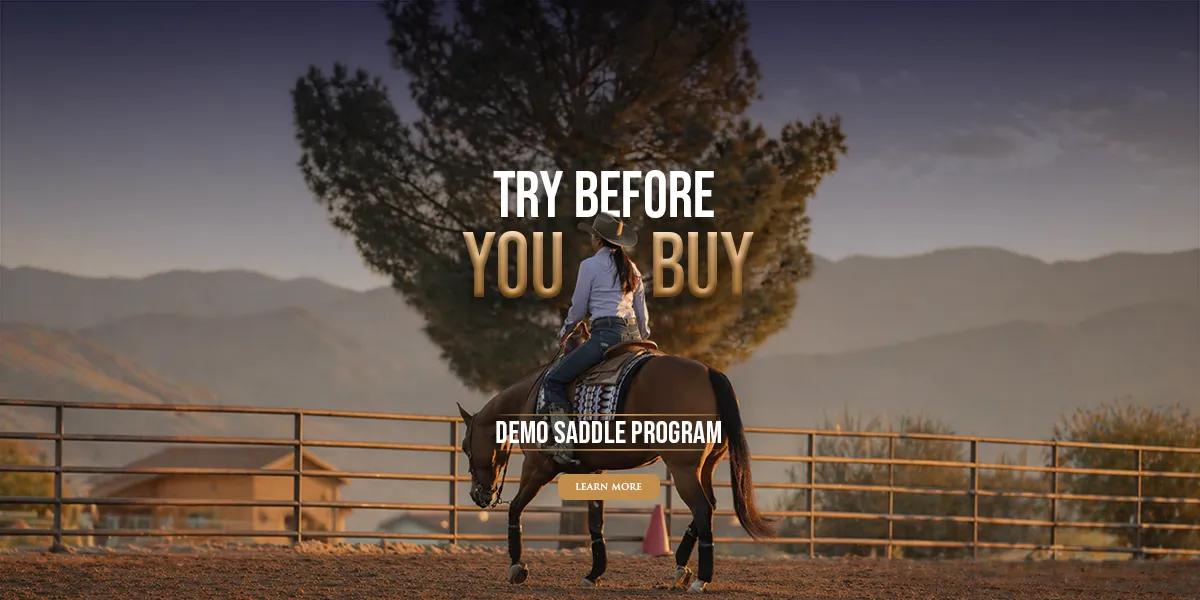 bobs-demo-saddle-program
