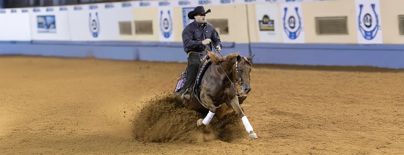 Marcos Guimarães Reining Horses