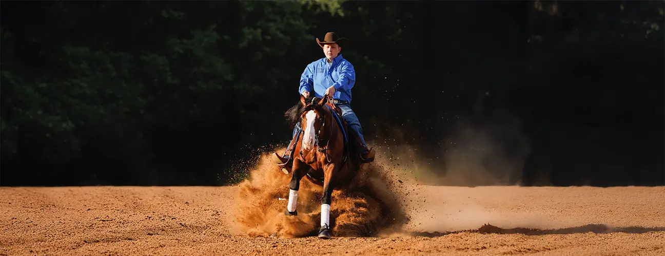 Wade McDonald Reining Horses