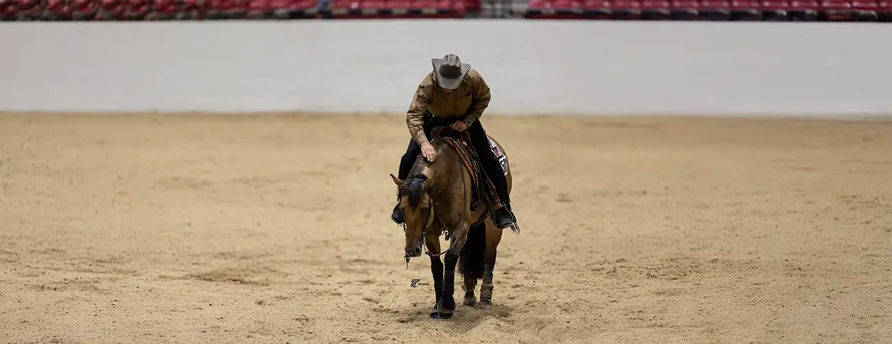 Marco Ricotta Reining Horses