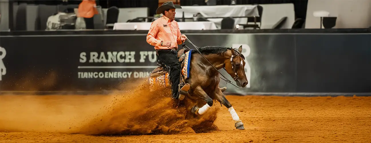 Brandon Brant Reining Horses