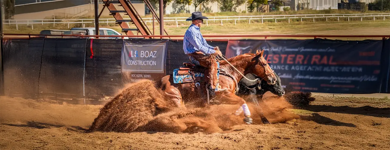 Brad Barkemeyer Reining Horses