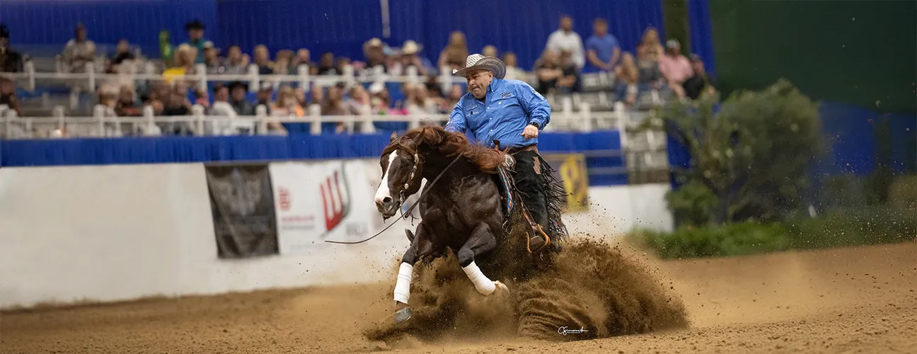 Dany Tremblay Reining Horses