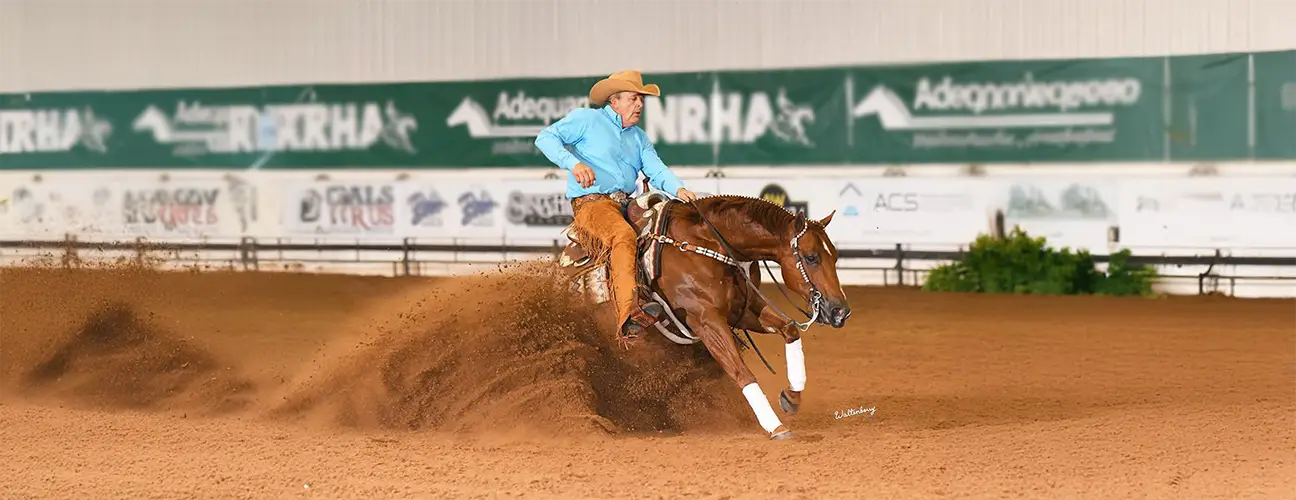 Dan Huss Reining Horses