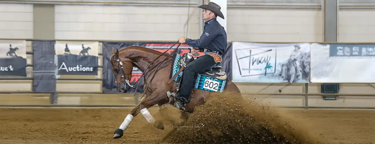 Travis Wigen Reining Horses