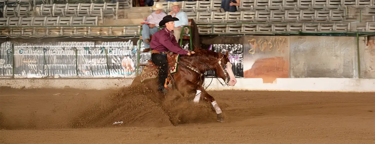 Gabe Hutchins Reining Horses