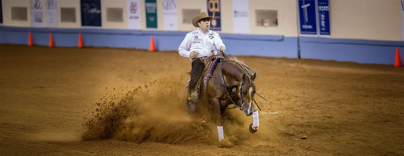 Fernando Salgado Reining Horses