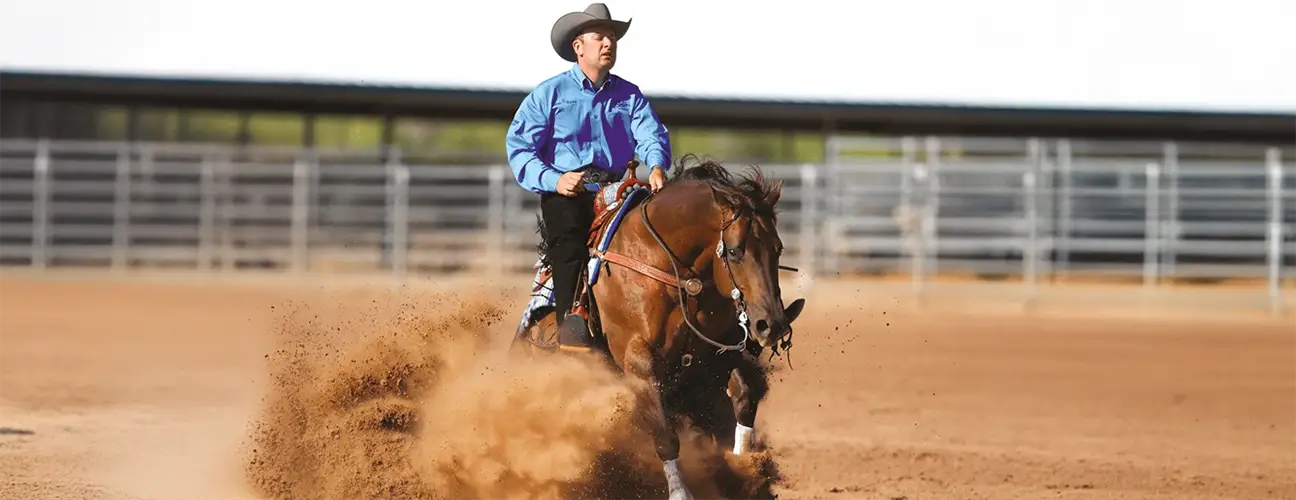 Fappani Performance Horses