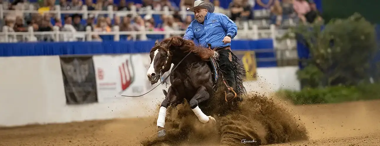 Dany Tremblay Reining Horses