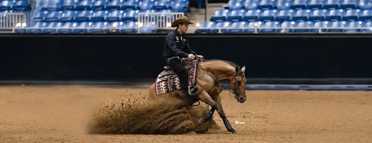 Glen-Arthur Estival Reining Horses