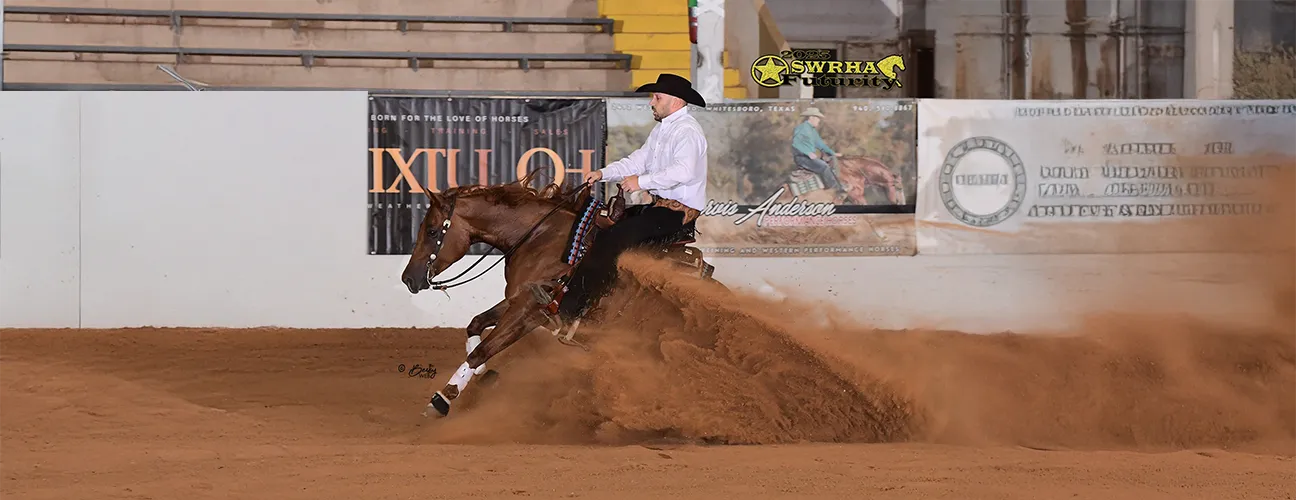 Marcos Guimarães Reining Horses - Image 1