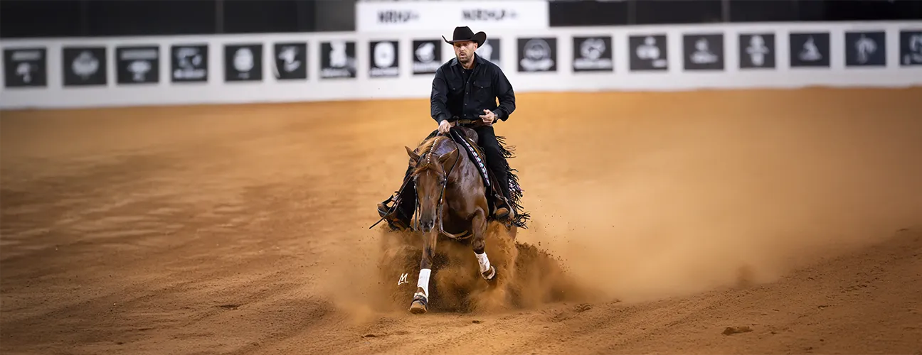 Marcos Guimarães Reining Horses - Image 2