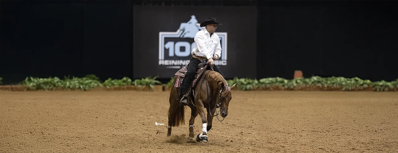 Marcos Guimarães Reining Horses - Image 3