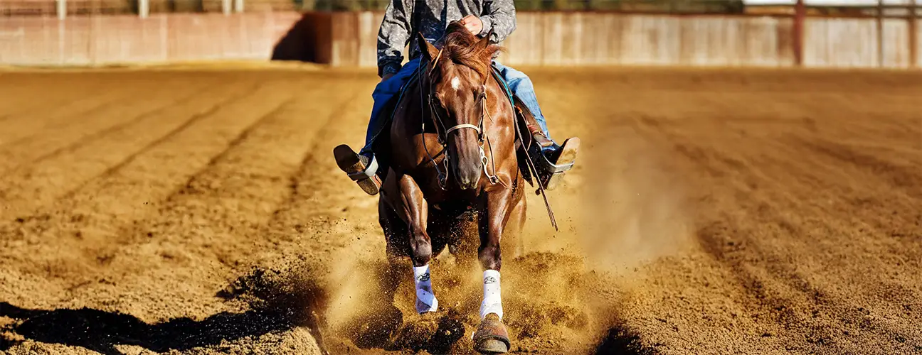 Wade McDonald Reining Horses - Image 1