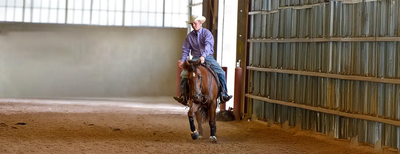 Wade McDonald Reining Horses - Image 4