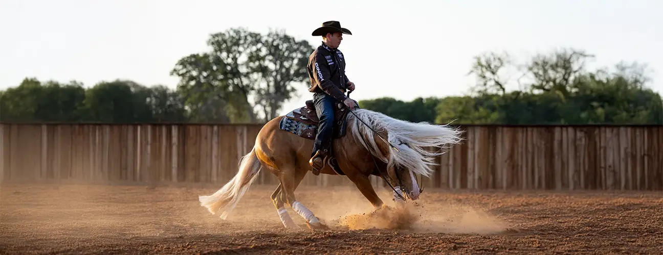 Jordan Larson Reining Horses - Image 3