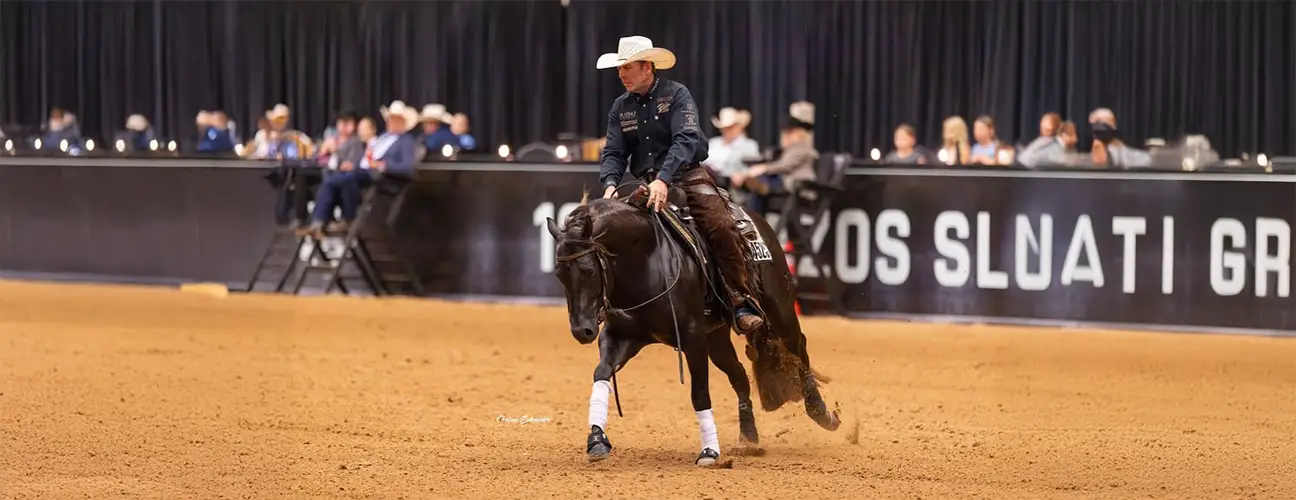 Jordan Larson Reining Horses - Image 1