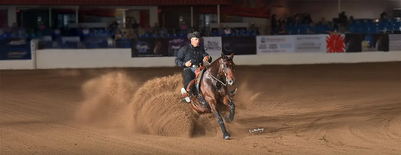Marco Ricotta Reining Horses - Image 4