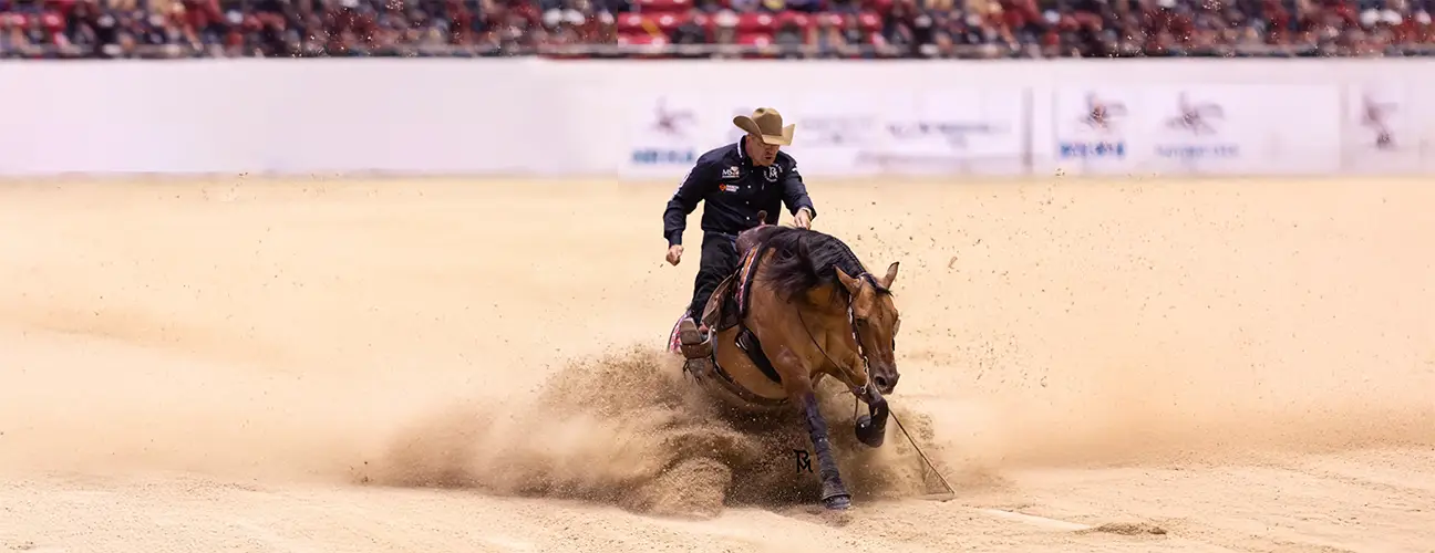 Marco Ricotta Reining Horses - Image 3