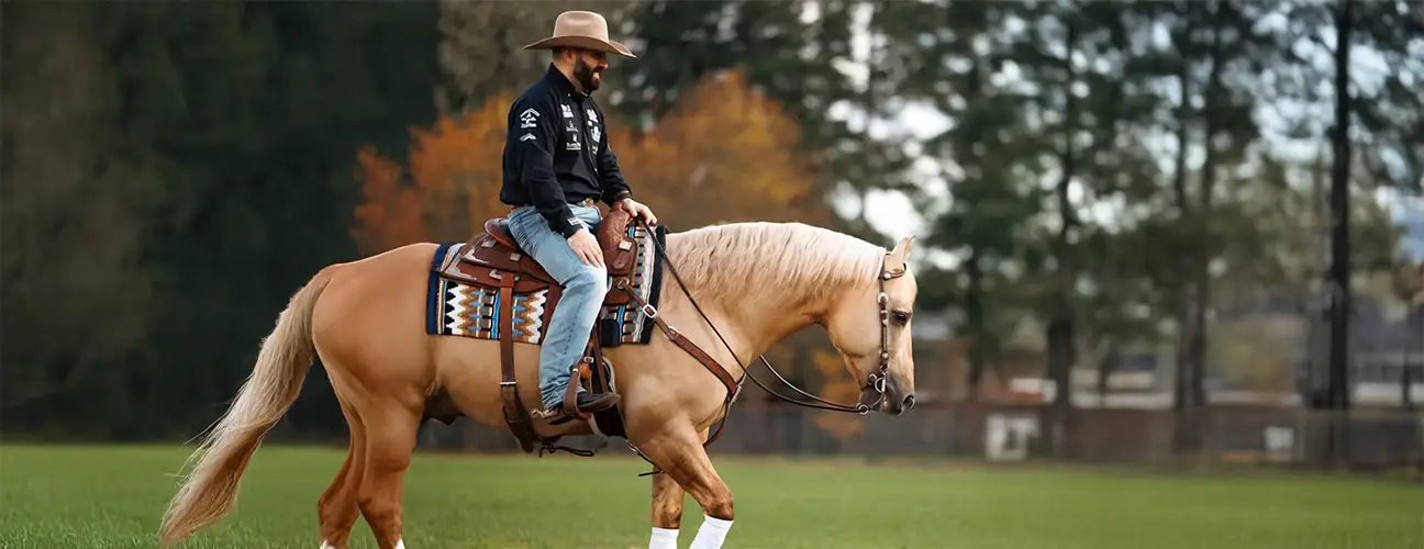Jonathan “JR” Robles Reining Horses - Image 3