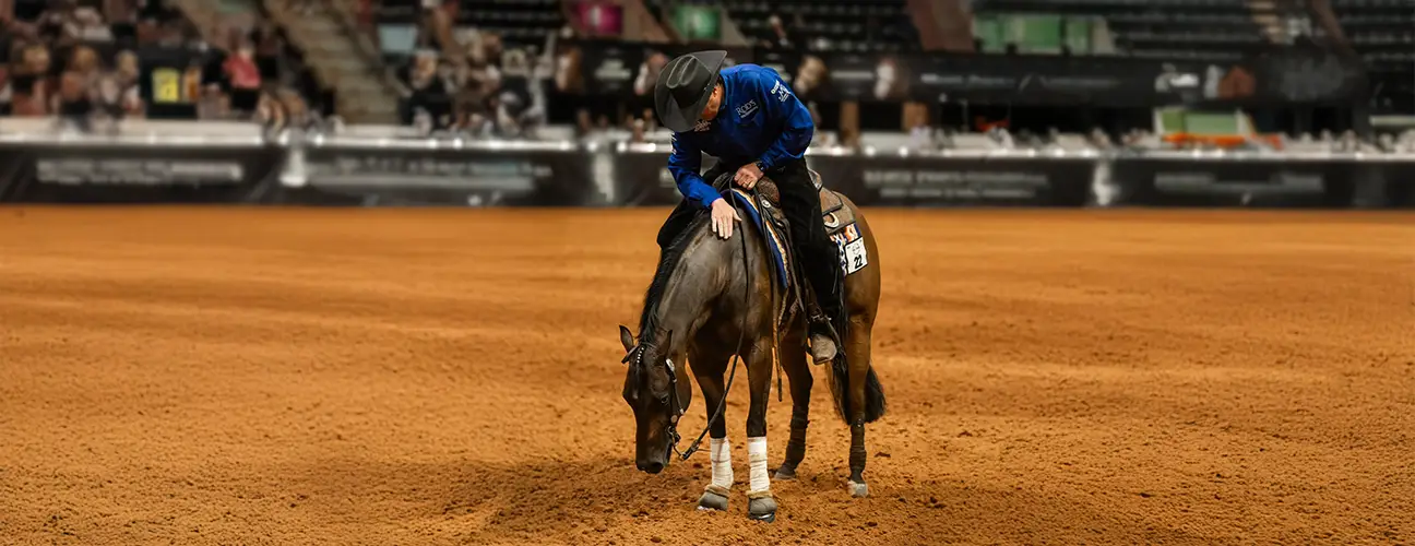 Brandon Brant Reining Horses - Image 1
