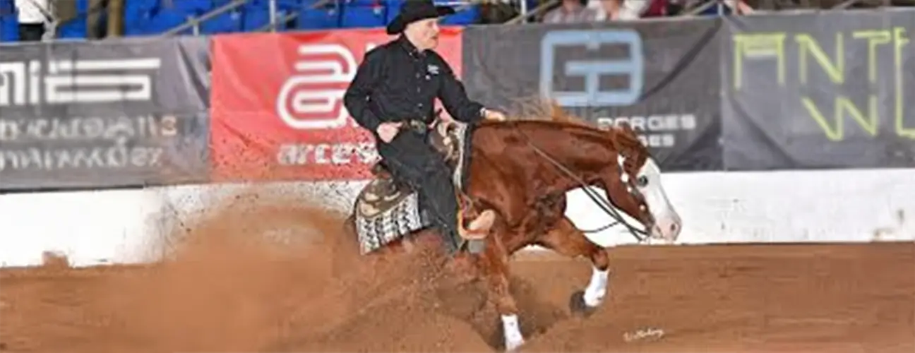 Duane Latimer Reining Horses - Image 2