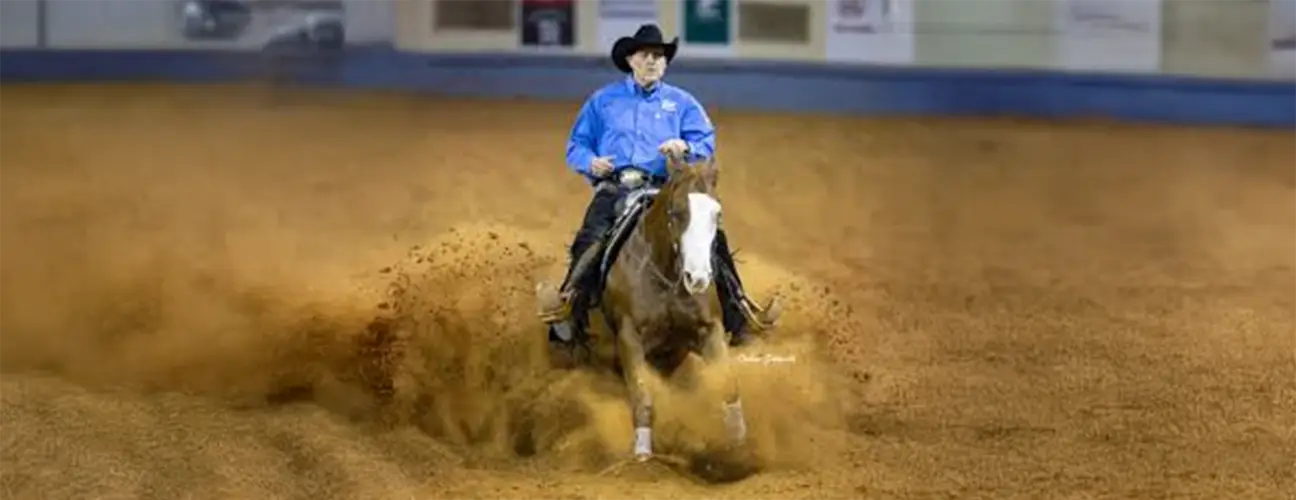 Duane Latimer Reining Horses - Image 3