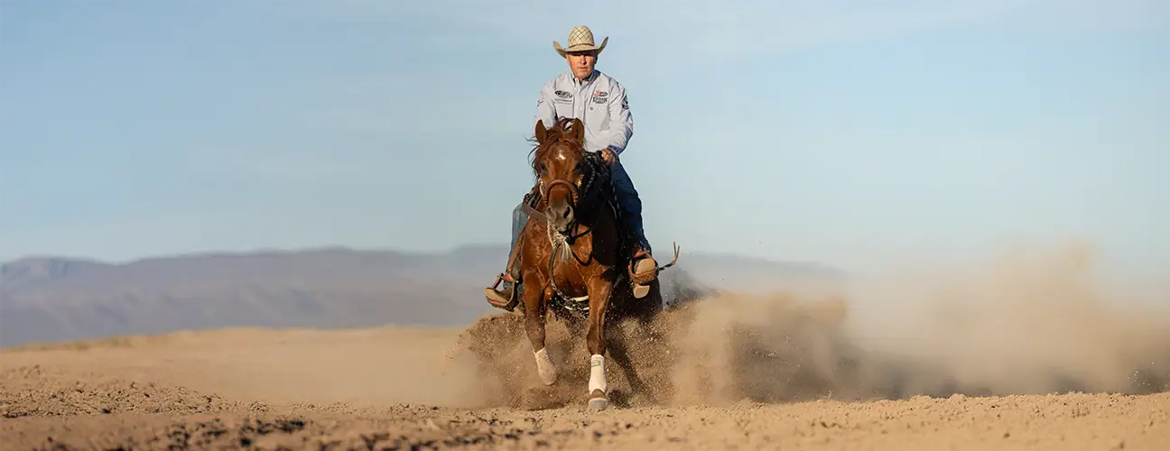 Brad Barkemeyer Reining Horses - Image 2