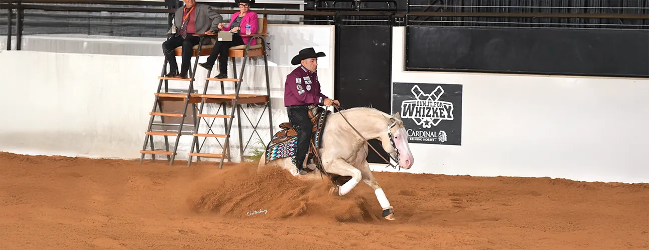 Dany Tremblay Reining Horses - Image 3