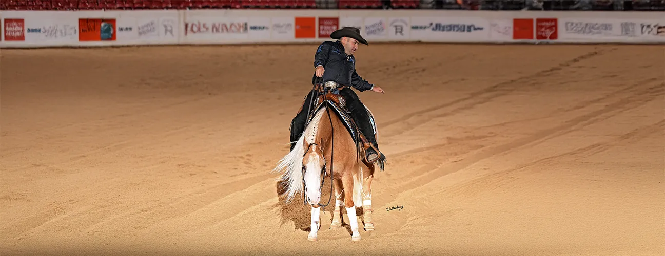Dany Tremblay Reining Horses - Image 1