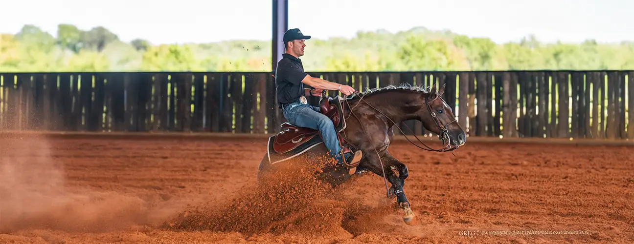 Glen-Arthur Estival Reining Horses - Image 2