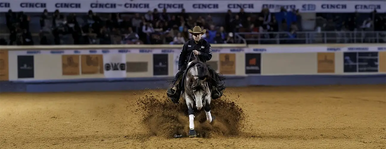 Franco Bertolani Reining Horses - Image 3