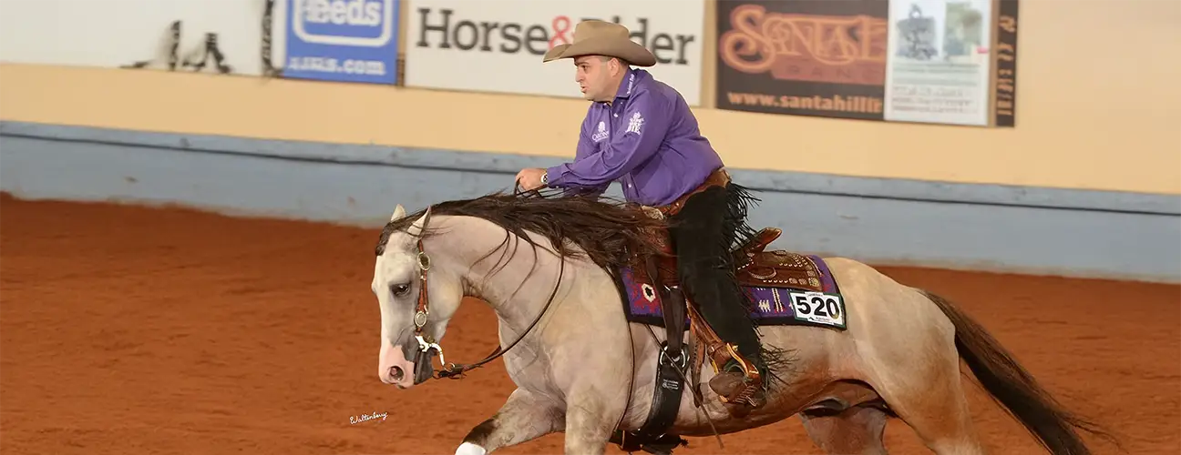Franco Bertolani Reining Horses - Image 4