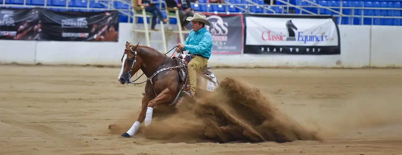 Dan Huss Reining Horses - Image 1