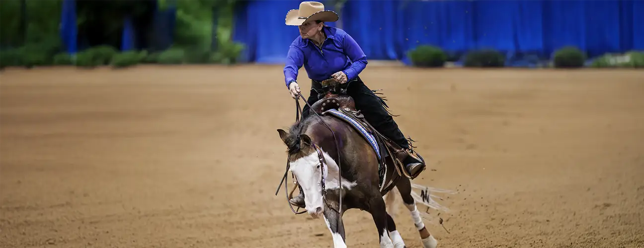 Ashley Kelkenberg Reining Horses - Image 2