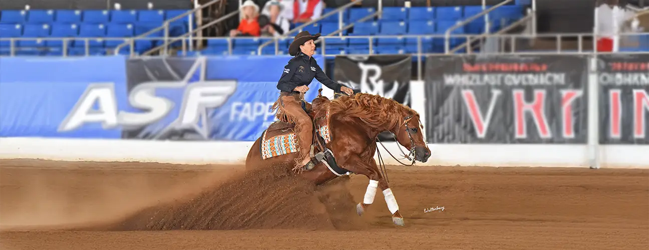 Ashley Wilson-Hammer Reining Horses - Image 3