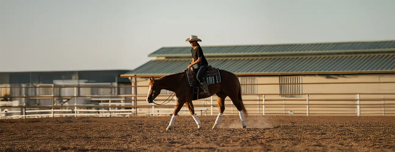 Ashley Wilson-Hammer Reining Horses - Image 1