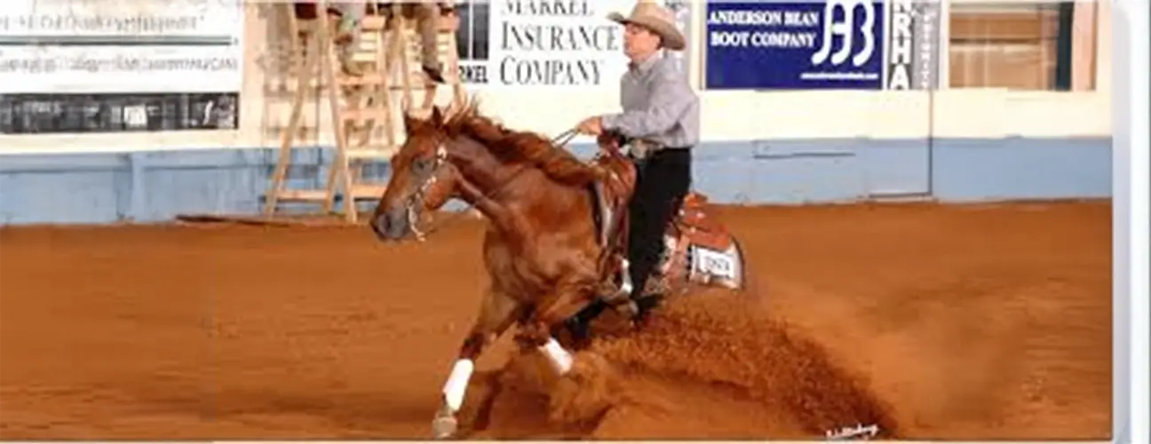 Casey Hinton Reining Horses - Image 2