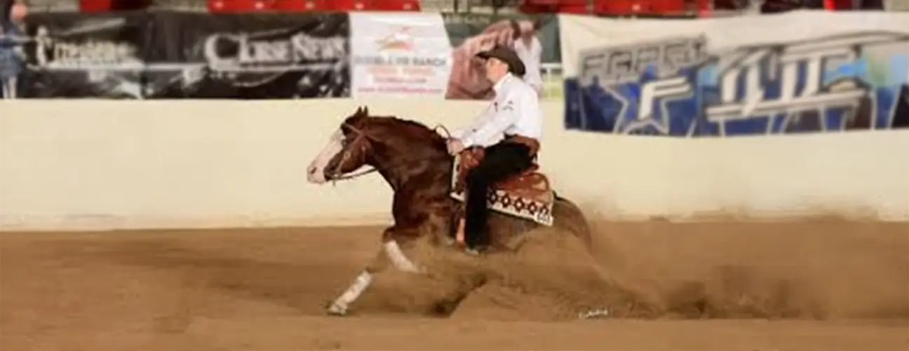 Gabe Hutchins Reining Horses - Image 1