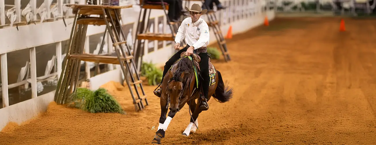 Lior Dubowski Reining Horses - Image 2