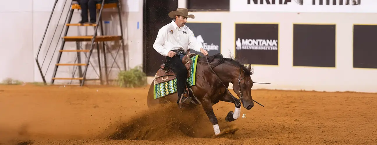 Lior Dubowski Reining Horses - Image 1