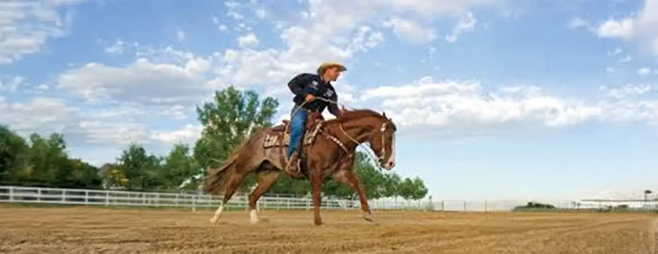 Jake Telford Reining Horses - Image 1