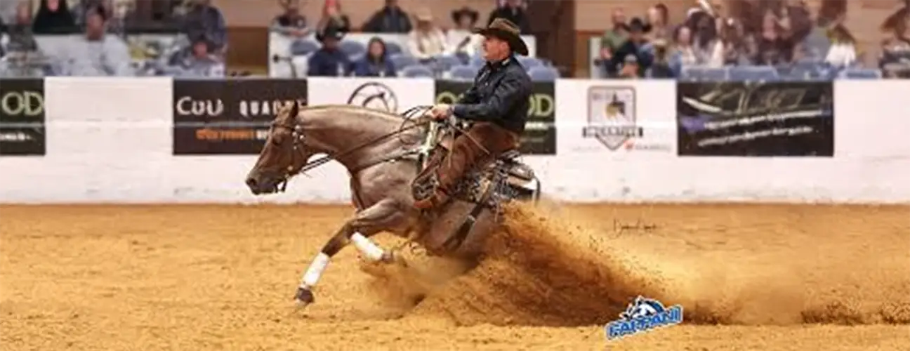 Fappani Performance Horses - Image 3