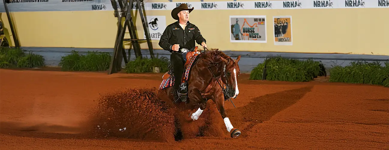 Fappani Performance Horses - Image 2