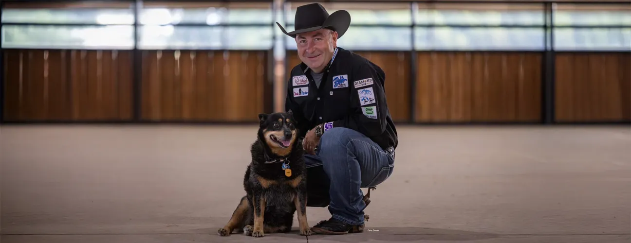 Dany Tremblay Reining Horses - Image 1