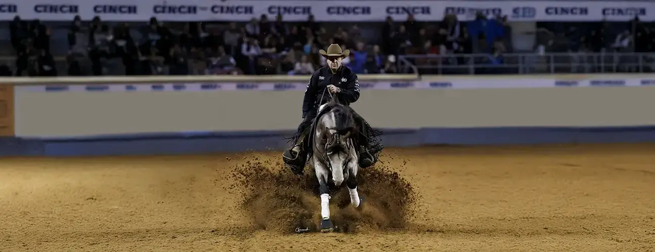 Franco Bertolani Reining Horses - Image 1
