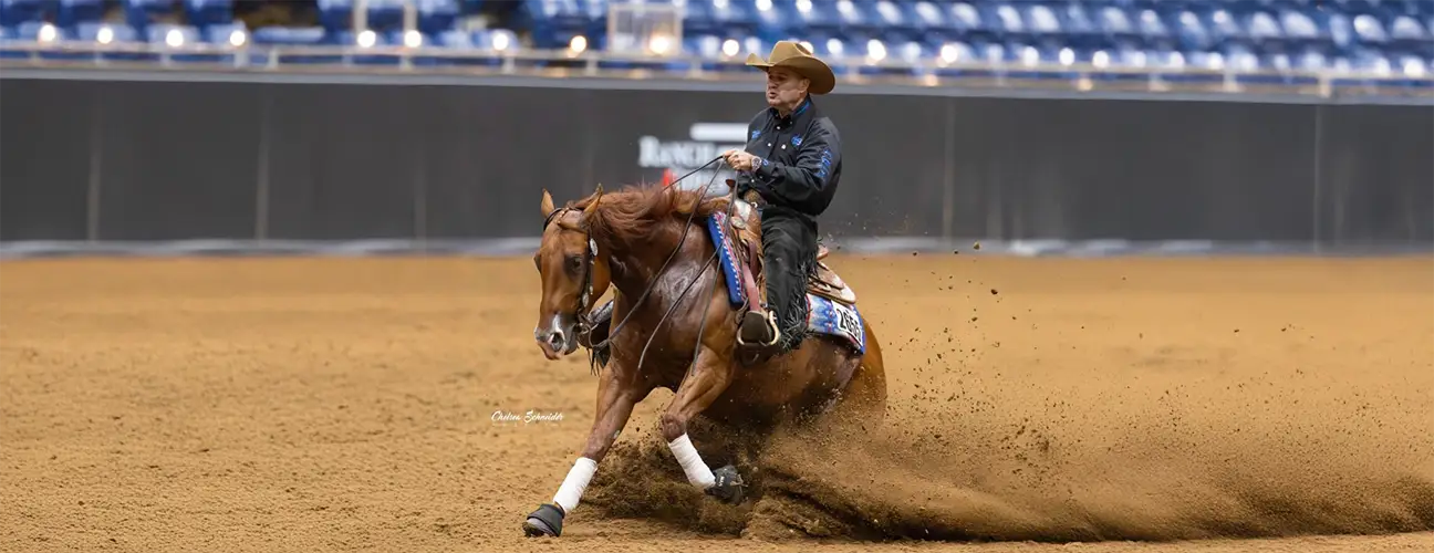 Franco Bertolani Reining Horses - Image 3