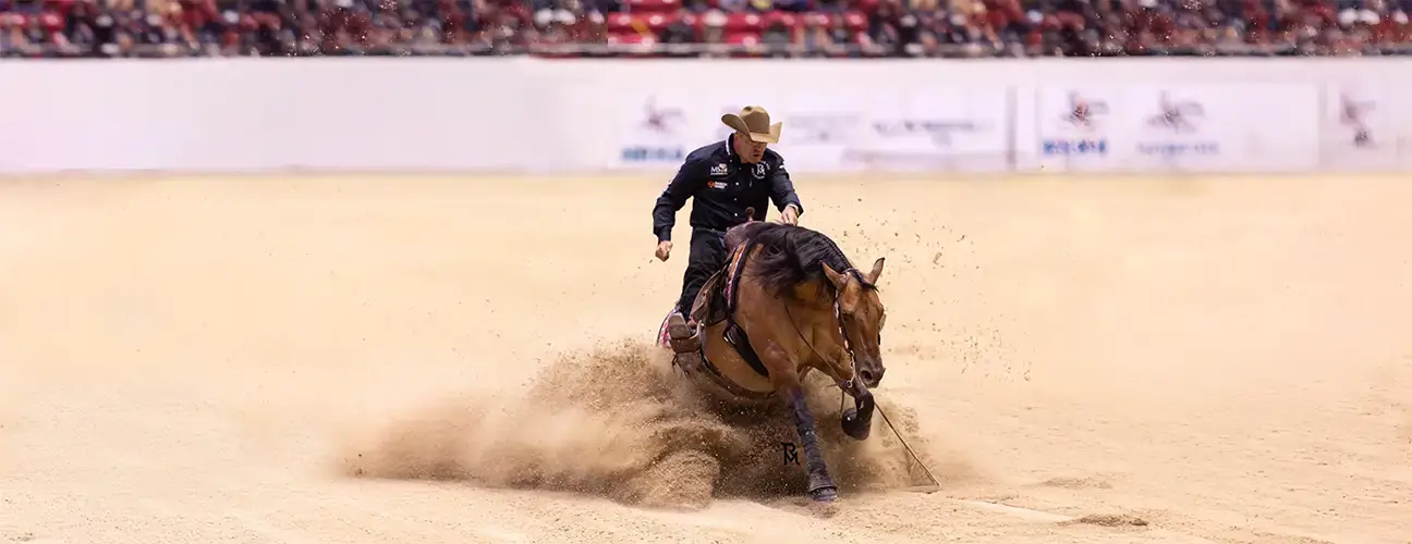 Marco Ricotta Reining Horses - Image 1