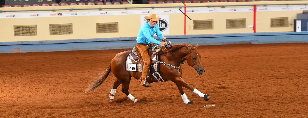 Dan Huss Reining Horses - Image 2