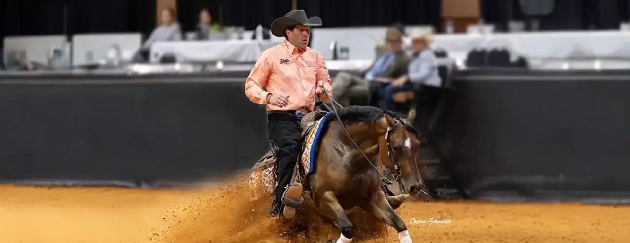 Brandon Brant Reining Horses - Image 1